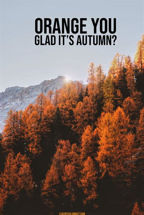 autumn sayings funny|short autumn quotes.